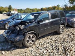 Honda Pilot salvage cars for sale: 2015 Honda Pilot SE