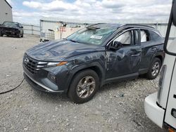 Hyundai Tucson salvage cars for sale: 2024 Hyundai Tucson SEL