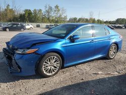 Toyota Camry salvage cars for sale: 2020 Toyota Camry XLE