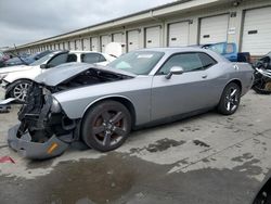 Dodge Challenger salvage cars for sale: 2013 Dodge Challenger SXT