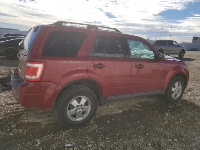 2011 Ford Escape XLT