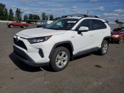 Toyota rav4 salvage cars for sale: 2020 Toyota Rav4 LE