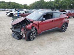 Toyota c-hr salvage cars for sale: 2019 Toyota C-HR XLE