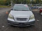 2008 Honda Odyssey EX