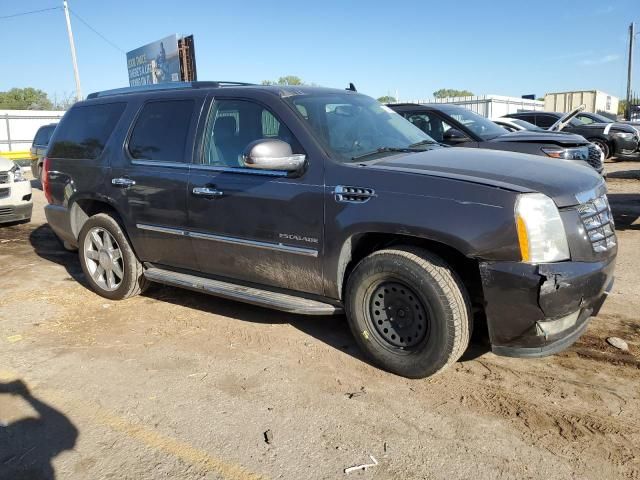 2011 Cadillac Escalade Luxury