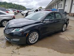 2013 Lincoln MKZ for sale in Louisville, KY