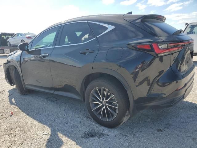 2024 Lexus NX 250 Premium