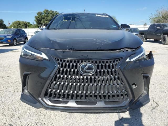 2024 Lexus NX 250 Premium