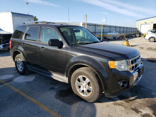 2011 Ford Escape Limited