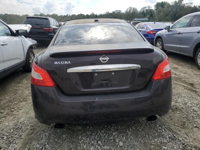 2010 Nissan Maxima S