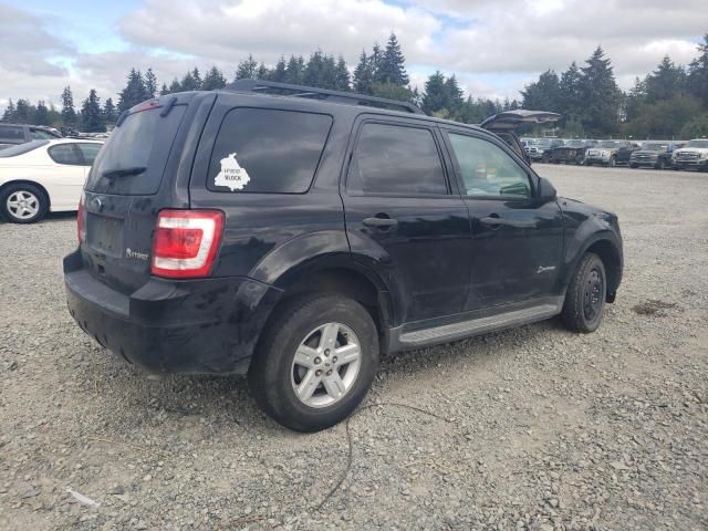 2010 Ford Escape Hybrid