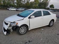 Toyota Corolla salvage cars for sale: 2010 Toyota Corolla Base