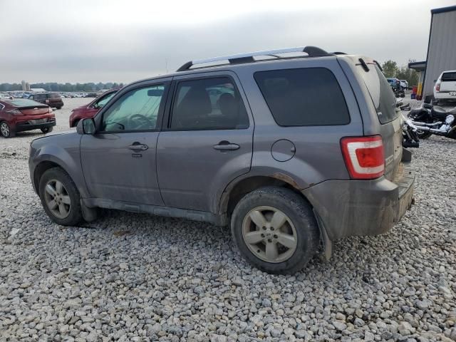 2010 Ford Escape Limited