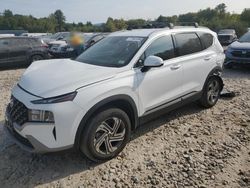 Hyundai salvage cars for sale: 2023 Hyundai Santa FE SEL