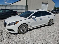 Hyundai Sonata salvage cars for sale: 2016 Hyundai Sonata Hybrid