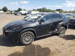 Lexus salvage cars for sale: 2021 Lexus NX 300 Base