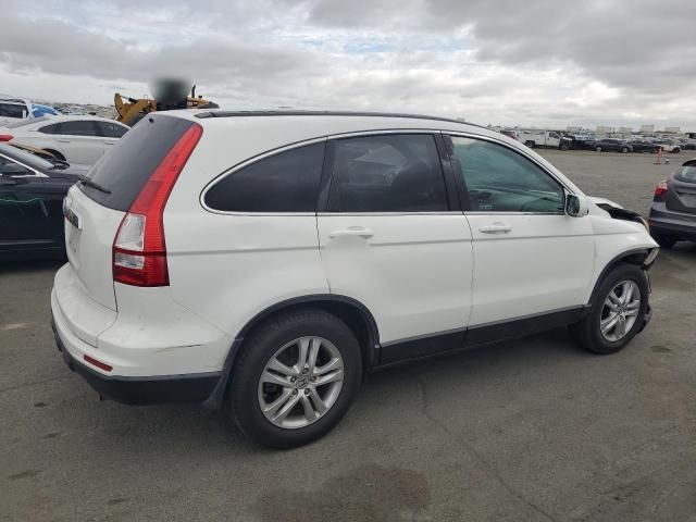 2010 Honda CR-V EXL