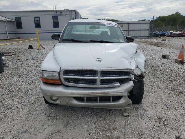 2003 Dodge Dakota SLT