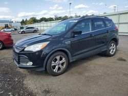 Ford Escape salvage cars for sale: 2016 Ford Escape SE