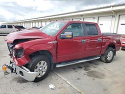 Ford salvage cars for sale: 2014 Ford F150 Supercrew