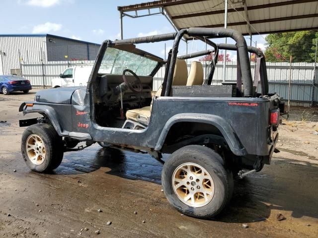 1994 Jeep Wrangler / YJ S