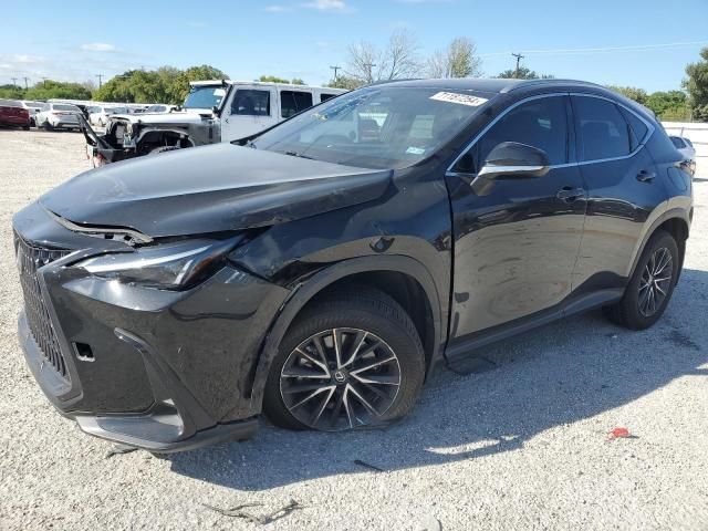 2024 Lexus NX 250 Premium