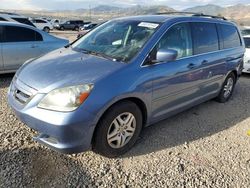 Honda salvage cars for sale: 2007 Honda Odyssey EXL