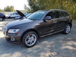 Audi salvage cars for sale: 2015 Audi Q5 Premium Plus