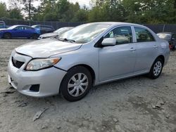 Salvage cars for sale from Copart Waldorf, MD: 2009 Toyota Corolla Base