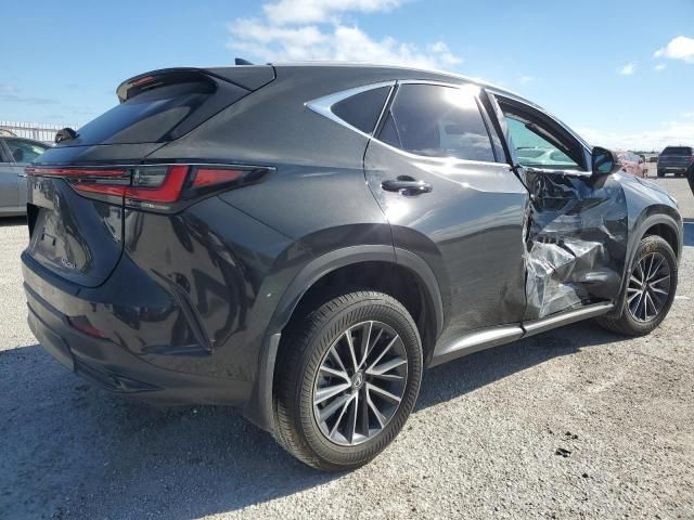 2024 Lexus NX 250 Premium