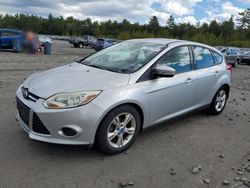 Ford Focus salvage cars for sale: 2013 Ford Focus SE