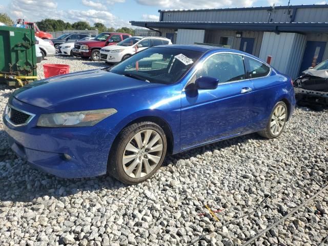 2009 Honda Accord EXL