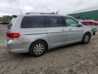 2010 Honda Odyssey EXL