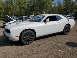 Vehiculos salvage en venta de Copart Ontario Auction, ON: 2023 Dodge Challenger SXT