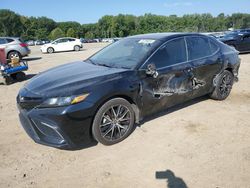 Toyota Camry salvage cars for sale: 2022 Toyota Camry SE