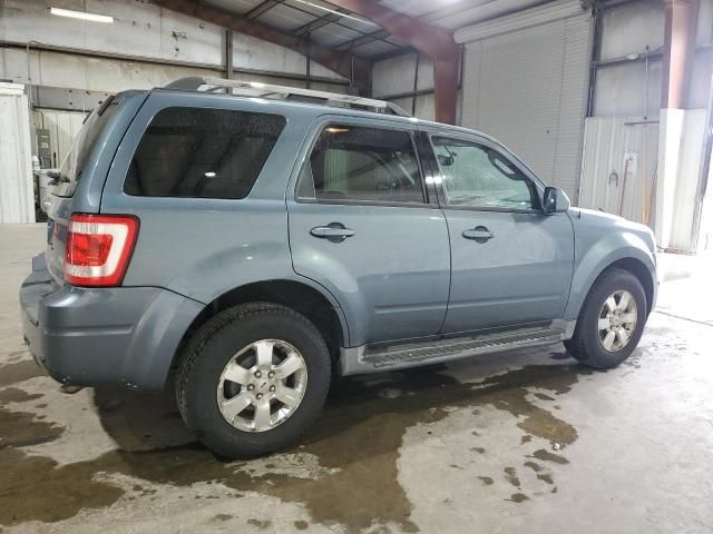 2011 Ford Escape Limited