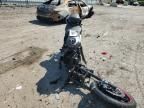 2023 Cf Moto 300SS