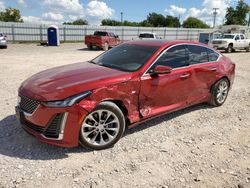 Cadillac ct5 salvage cars for sale: 2022 Cadillac CT5 Premium Luxury