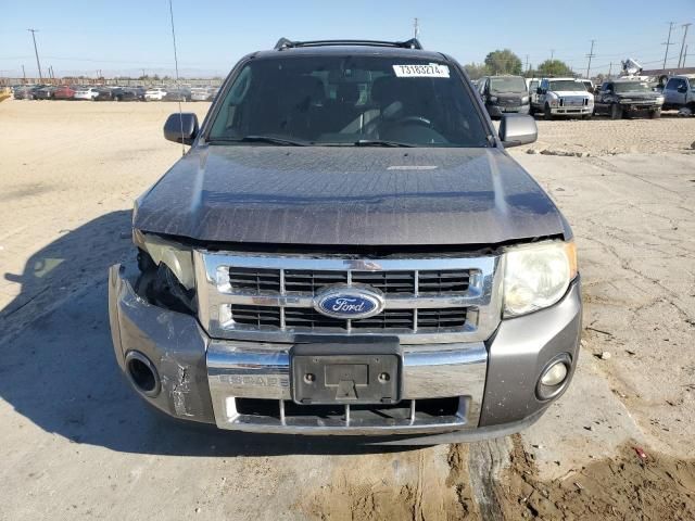 2010 Ford Escape Limited