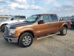 Ford salvage cars for sale: 2011 Ford F150 Supercrew