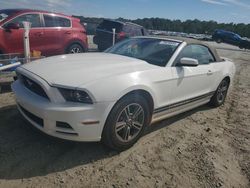 Ford Mustang salvage cars for sale: 2013 Ford Mustang