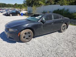 Dodge salvage cars for sale: 2019 Dodge Charger SXT