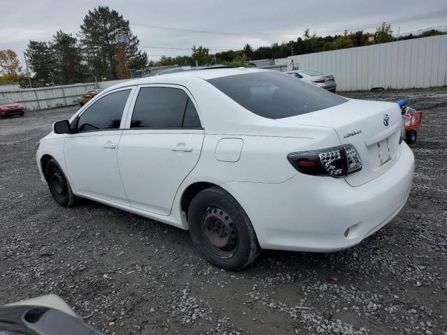 2010 Toyota Corolla Base