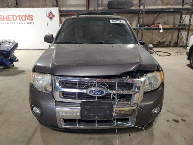 2010 Ford Escape Limited