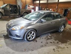 Ford Focus salvage cars for sale: 2014 Ford Focus SE