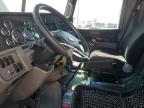 2019 Peterbilt 389
