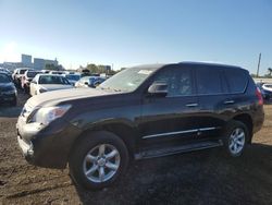 Lexus salvage cars for sale: 2011 Lexus GX 460 Premium