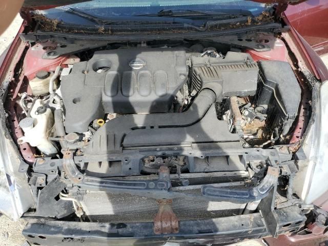 2010 Nissan Altima Base