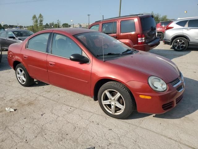 2005 Dodge Neon SXT