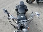 2004 Honda VT600 CD